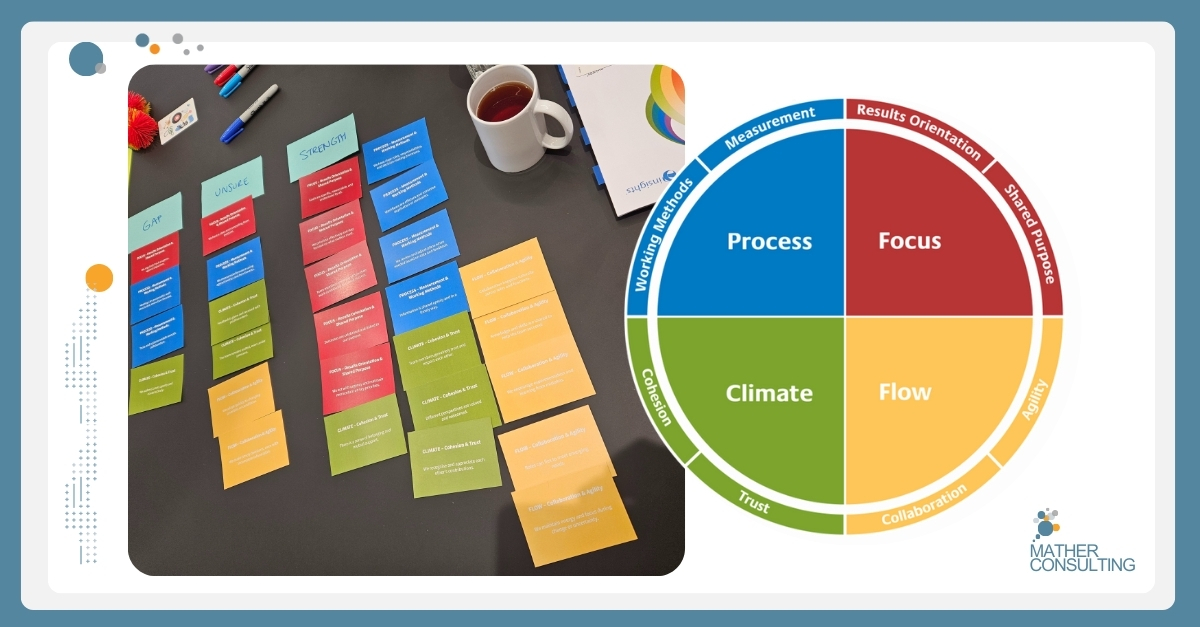 High-performing teams are built, not born. Learn how structured reflection using the Insights Discovery® framework helps leadership teams align, adapt, and thrive.