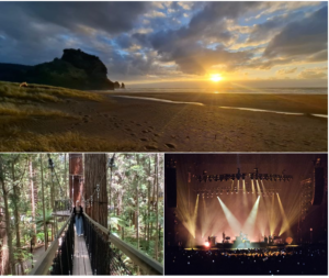 Beach - Piha at Sunset, Me - Redwood Forest & Music - Lumineers